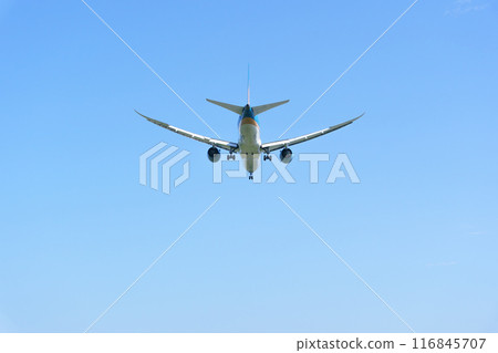 飛機藍天 116845707