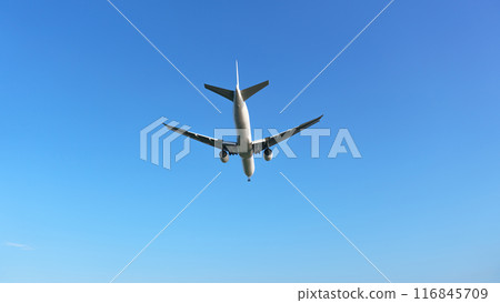 飛機藍天 116845709