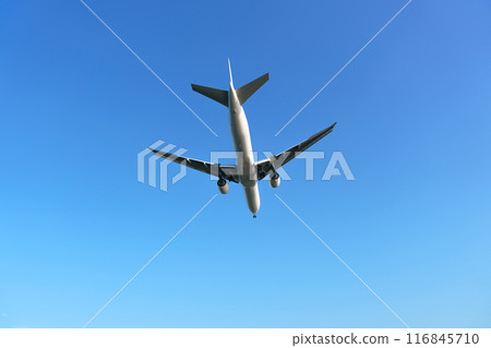 飛機藍天 116845710