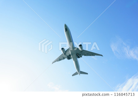 Airplane blue sky 116845713
