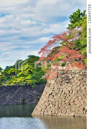 皇居的護城河和美麗的秋葉（東京都千代田區） 116845728