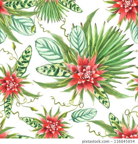 Tropical leaves with red flowers, palm leaf, curly foliage seamless pattern. Watercolor exotic plant Bromeliad bud floral Hawaiian fabric design Watercolor painted illustration on isolated background  116845854