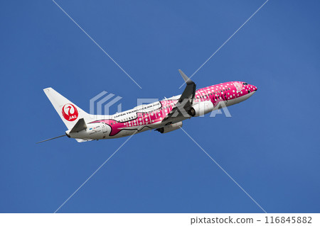 JTA B737-800 起飛爬升 JTA B737-800 起飛爬升 116845882