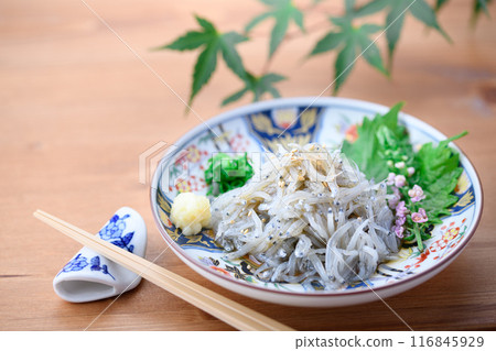 新鮮生銀魚 116845929