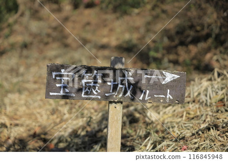 A signpost on the hiking trail to Mt. Hokyo in autumn in Ibaraki Prefecture A signpost on the hiking trail to Mt. Hokyo in autumn in Ibaraki Prefecture 116845948