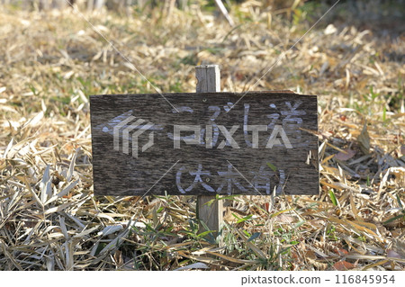 茨城縣秋季寶鏡山登山道上的路標 116845954