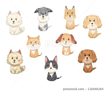 Illustration set of various dogs Illustration set of various dogs 116846264