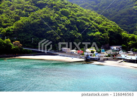 Around Ishibe Beach (Matsuzaki Town, Shizuoka Prefecture) [2024.7] 116846563
