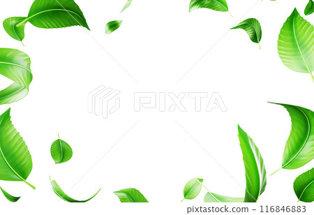 3d background with green leaf falling and flying in air render. Nature eco banner frame with fresh foliage. Decorative sale border of mint or tea leaves with white empty space mockup. 3D illustration 116846883