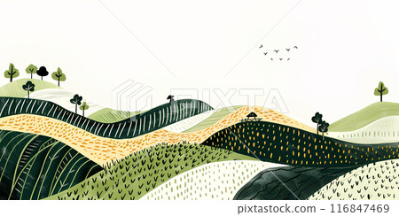 插秧時節的田園風光 116847469