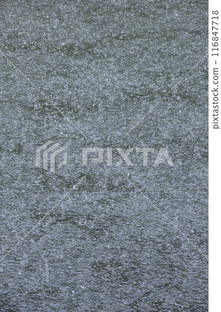 雨中池塘的水面，鳥取縣北園公園 116847718