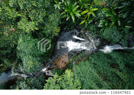 Waterfall in the Rainy Season Forest Waterfall in the Rainy Season Forest 116847981
