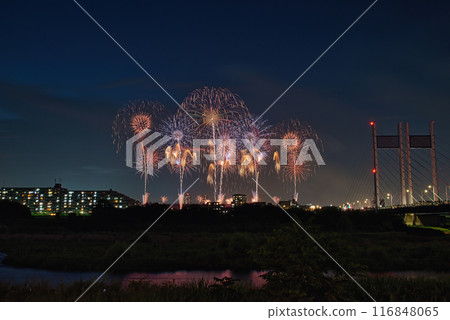 Fireworks blooming in the night sky, fireworks display shining high, fireworks, night sky, fireworks image, fireworks display 116848065