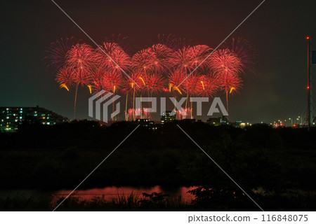 Fireworks blooming in the night sky, fireworks display shining high, fireworks, night sky, fireworks image, fireworks display 116848075