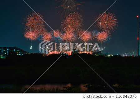 煙火在夜空中綻放，煙火表演高高閃耀，煙火，夜空，煙火影像，煙火表演 116848076