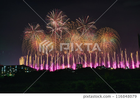 Fireworks blooming in the night sky, fireworks display shining high, fireworks, night sky, fireworks image, fireworks display Fireworks blooming in the night sky, fireworks display shining high, fireworks, night sky, fireworks image, fireworks display 116848079