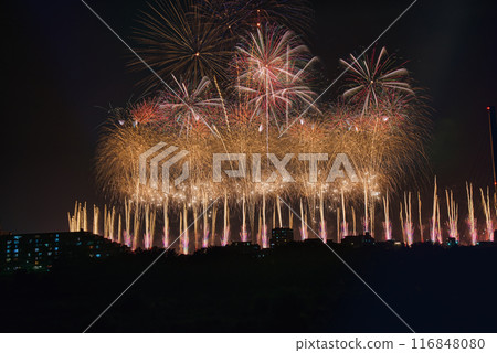 煙火在夜空中綻放,煙火表演高高閃耀,煙火,夜空,煙火影像,煙火表演 煙火在夜空中綻放,煙火表演高高閃耀,煙火,夜空,煙火影像,煙火表演 116848080