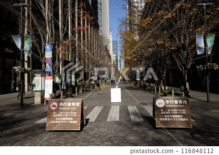 Urban Terrace, a pedestrian precinct on Marunouchi Nakadori, Japan's leading business district (Marunouchi, Chiyoda-ku, Tokyo) 116848112