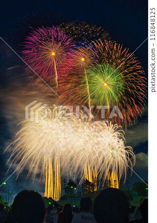 夜空中綻放的煙火 夜空中綻放的煙火 高度閃耀的煙火表演 煙火 夜空 煙火圖片 煙火表演 116848125