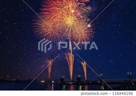 Fireworks blooming in the night sky, fireworks display shining high, fireworks, night sky, fireworks image, fireworks display Fireworks blooming in the night sky, fireworks display shining high, fireworks, night sky, fireworks image, fireworks display 116848198