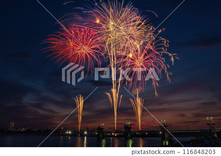 煙火在夜空中綻放，煙火表演高高閃耀，煙火，夜空，煙火影像，煙火表演 116848203