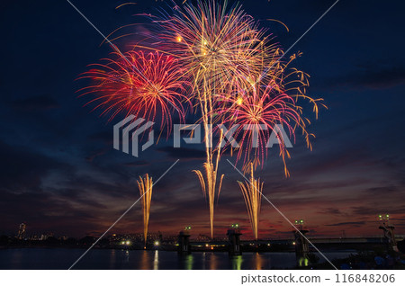 煙火在夜空中綻放，煙火表演高高閃耀，煙火，夜空，煙火影像，煙火表演 116848206