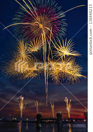 Fireworks blooming in the night sky, fireworks display shining high, fireworks, night sky, fireworks image, fireworks display Fireworks blooming in the night sky, fireworks display shining high, fireworks, night sky, fireworks image, fireworks display 116848213