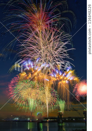 Fireworks blooming in the night sky, fireworks display shining high, fireworks, night sky, fireworks image, fireworks display Fireworks blooming in the night sky, fireworks display shining high, fireworks, night sky, fireworks image, fireworks display 116848226