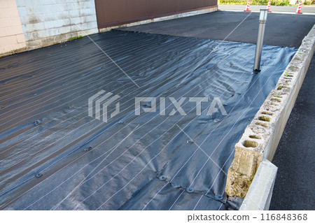 Weed control sheet laid in the garden Weed control sheet laid in the garden 116848368