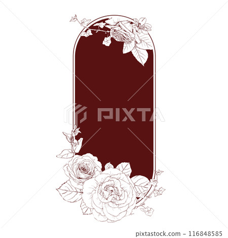 Hand drawn pencil graphics illustration of vintage flowers frame Hand drawn pencil graphics illustration of vintage flowers frame 116848585