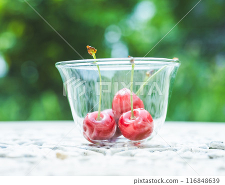 櫻桃 櫻桃 116848639