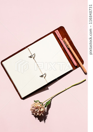 Open notebook with blank pages, pen and dried flower. Creativity and writing concept. Open notebook with blank pages, pen and dried flower. Creativity and writing concept. 116848731