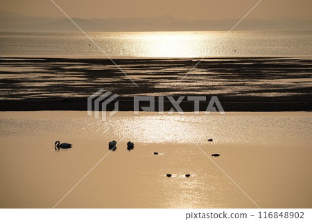 Dusk of Lake Saroma 116848902