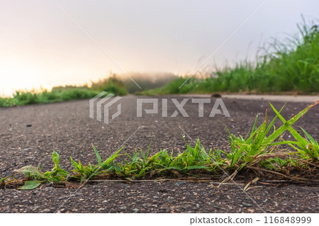 240619 Uenoharaz015 116848999