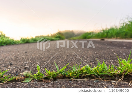 240619 Ueno-daira z018 116849000