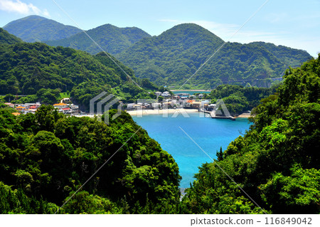 Around Iwachi Beach / Looking towards Ishibe Beach (Matsuzaki Town, Shizuoka Prefecture) [2024.7] 116849042