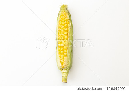 Fresh corn on a white background Fresh corn on a white background 116849091