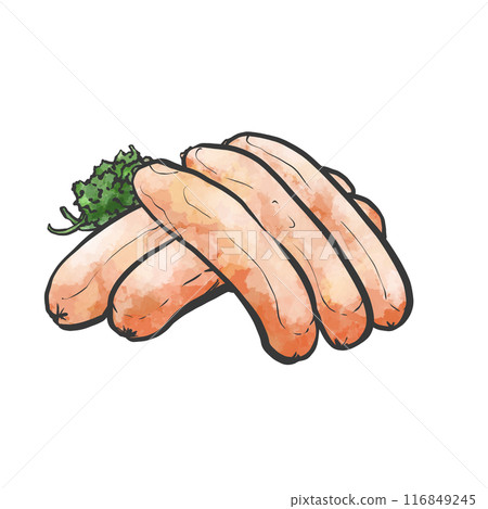 Hand-drawn illustration of sausage 116849245