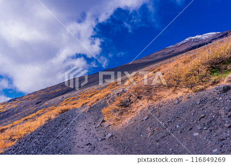 [Shizuoka Prefecture] View of the summit from the Fujinomiya trailhead at the 5th station of Mt. Fuji 116849269