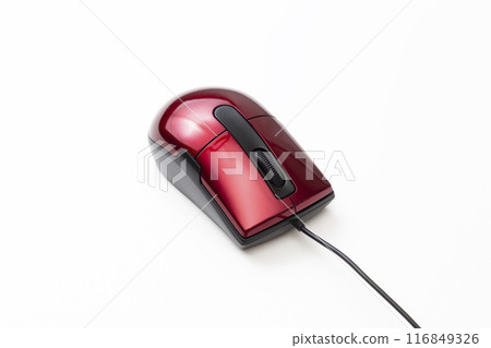 Mouse on a white background 116849326