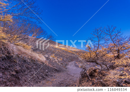 [靜岡縣] 富士山/富士宮登山路線森林界限 116849334