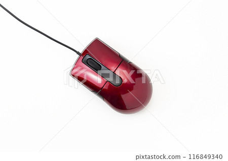 白色背景上的滑鼠 116849340