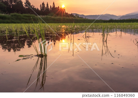 240620 Ueno-daira z063 240620 Ueno-daira z063 116849360
