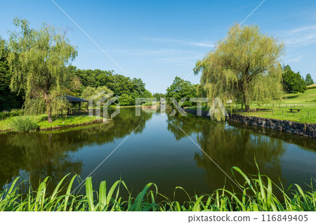Scenery of Koga Kubo Park in early summer Scenery of Koga Kubo Park in early summer 116849405