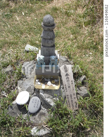 東丹澤的自然（神奈川縣） 116849682