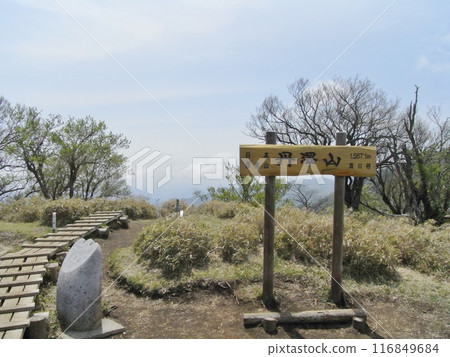 東丹澤的自然(神奈川縣) 東丹澤的自然(神奈川縣) 116849684