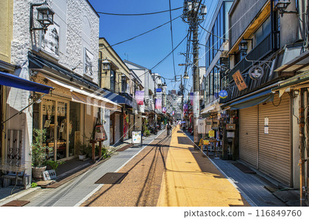 Tokyo Yanaka Ginza / Yanaka Ginza Shopping Street Yanesen Walking Course Tokyo Yanaka Ginza / Yanaka Ginza Shopping Street Yanesen Walking Course 116849760