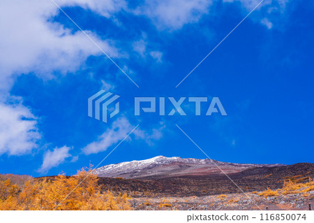 (Shizuoka Prefecture) First snow and autumn leaves seen from the Hoeizan promenade on Mount Fuji (Shizuoka Prefecture) First snow and autumn leaves seen from the Hoeizan promenade on Mount Fuji 116850074