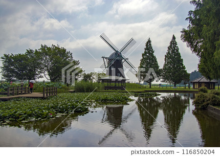 A view of the lotus pond and windmills at Akebonoyama Agricultural Park 116850204