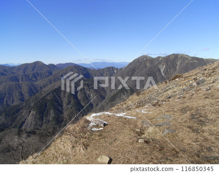 丹澤山脈的自然風光（神奈川縣） 116850345